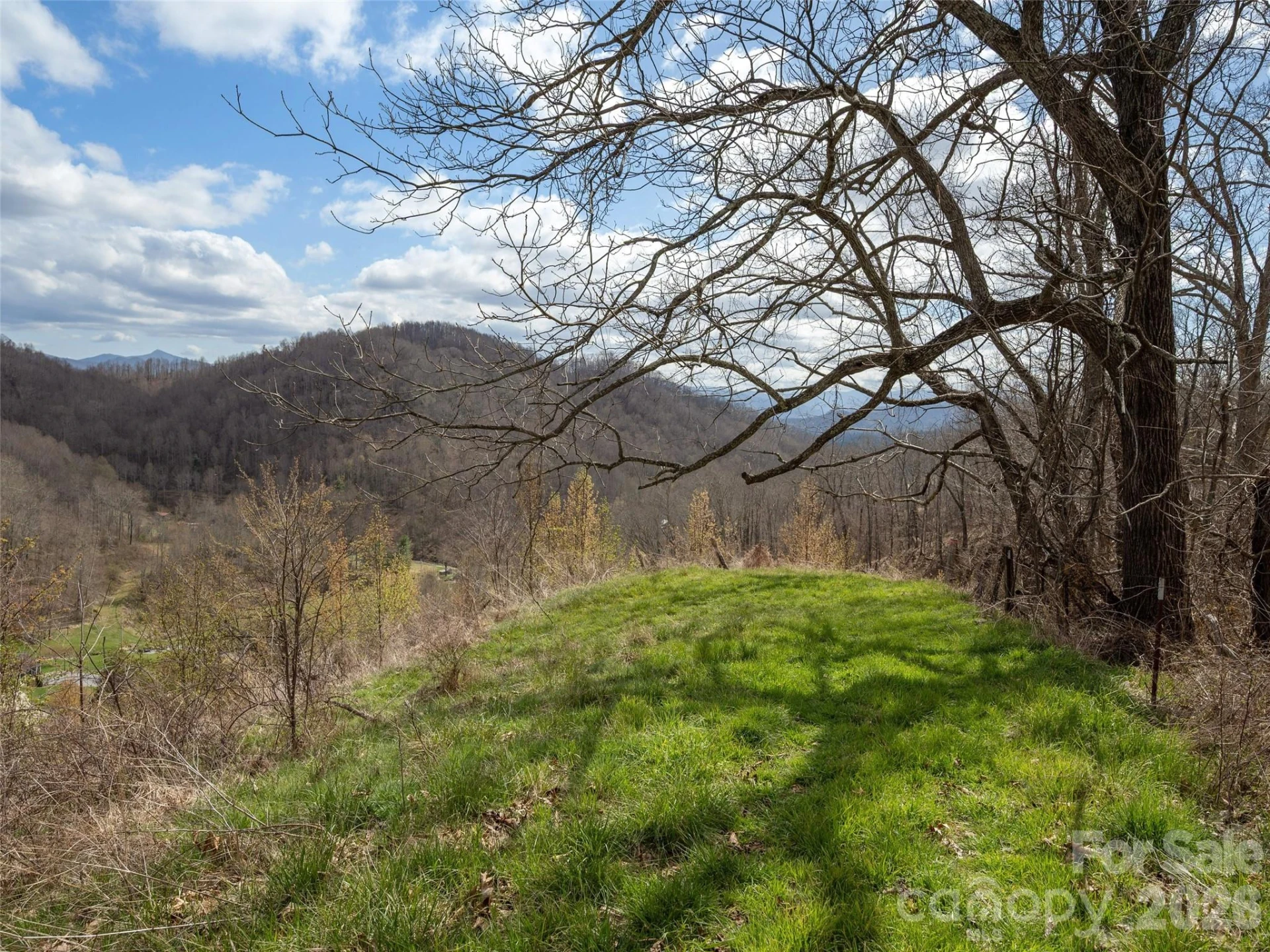 TBD Wilson Cove Road - Photo 16