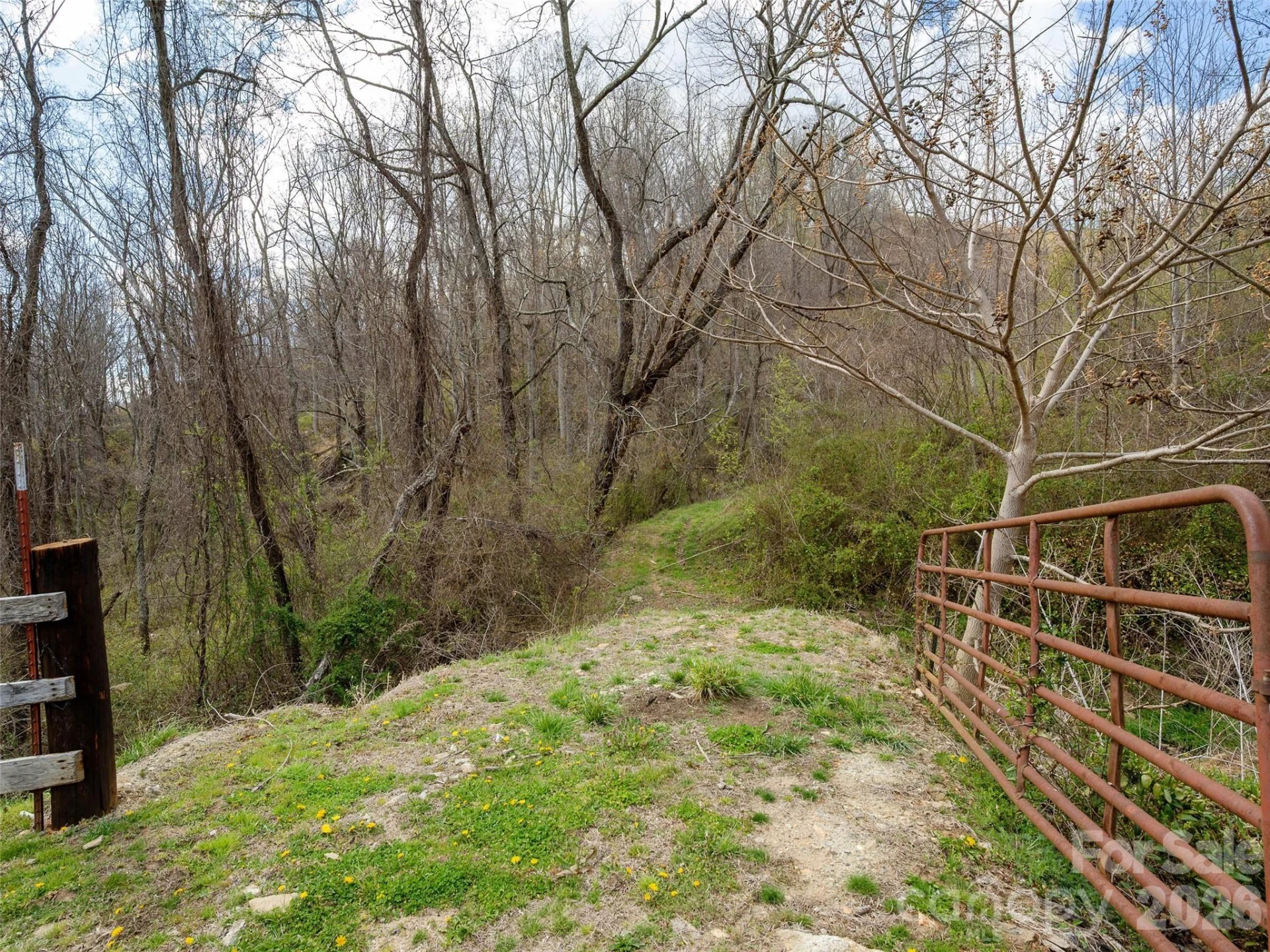 TBD Wilson Cove Road - Photo 17