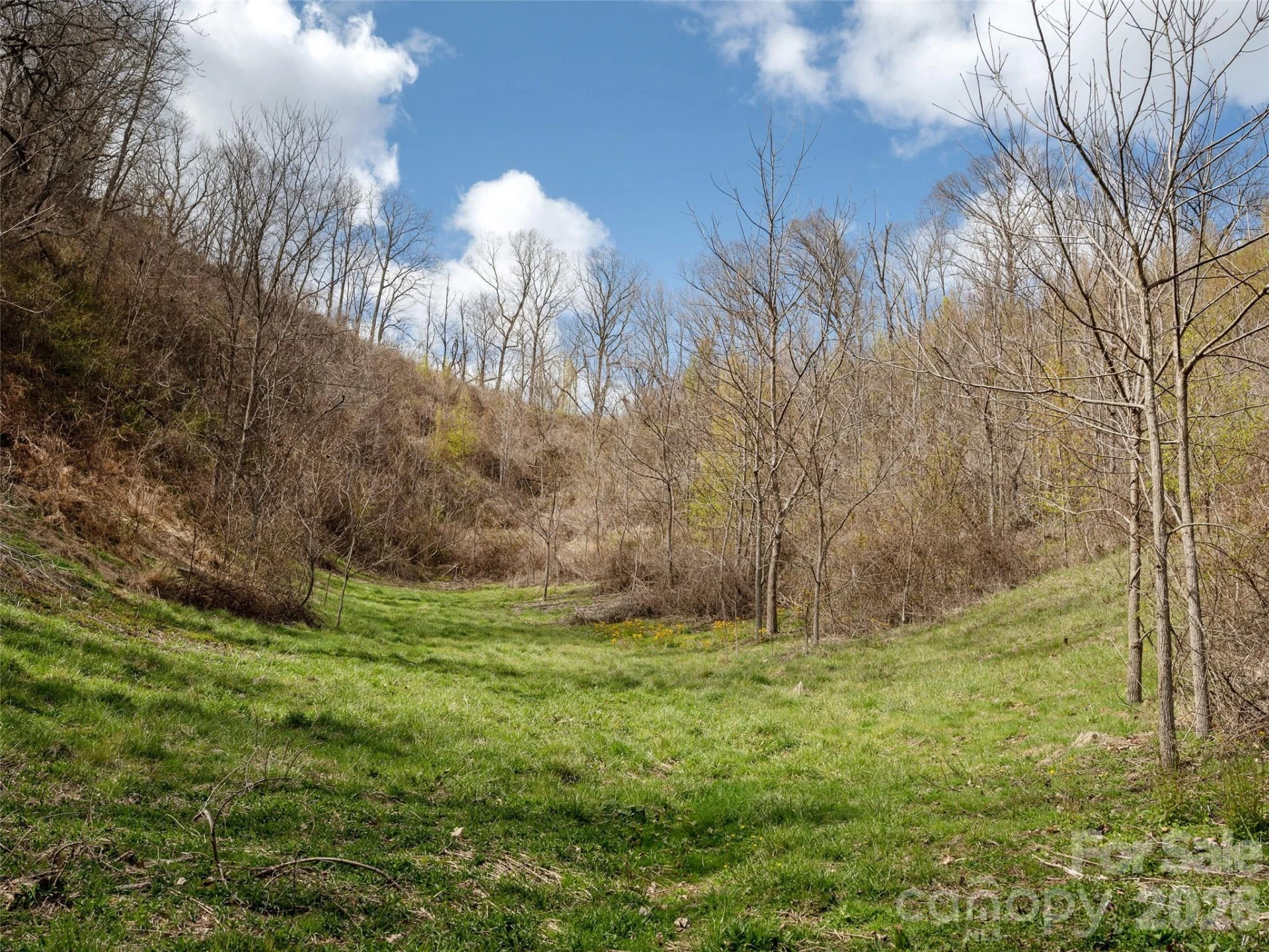 TBD Wilson Cove Road - Photo 18