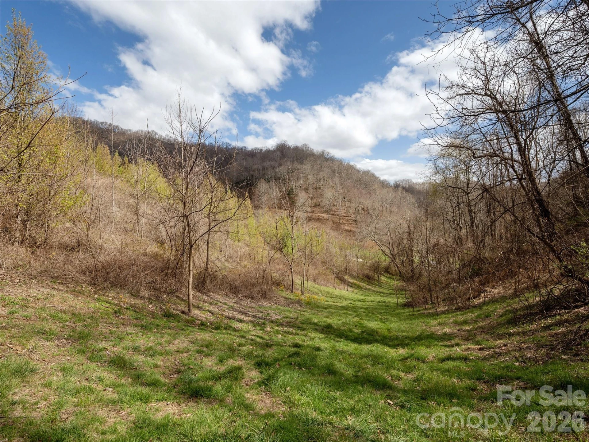 TBD Wilson Cove Road - Photo 19