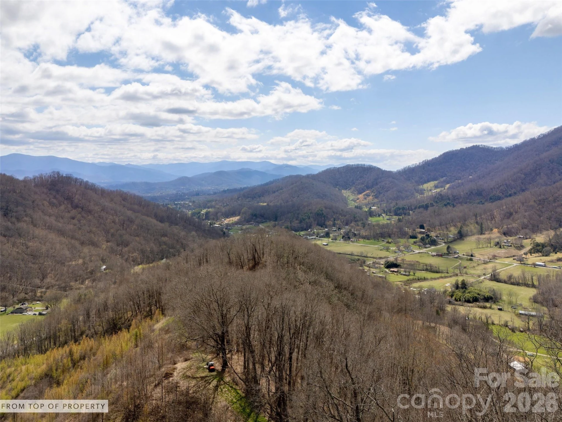 TBD Wilson Cove Road - Photo 4