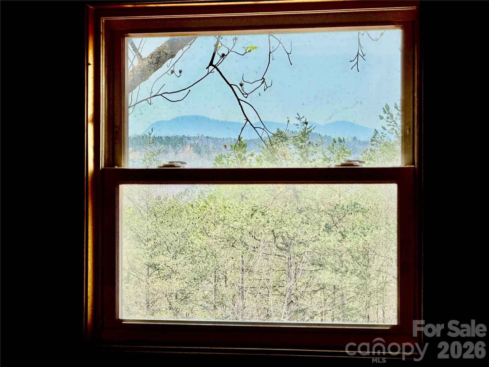 282 Calhoun Trail - Photo 40