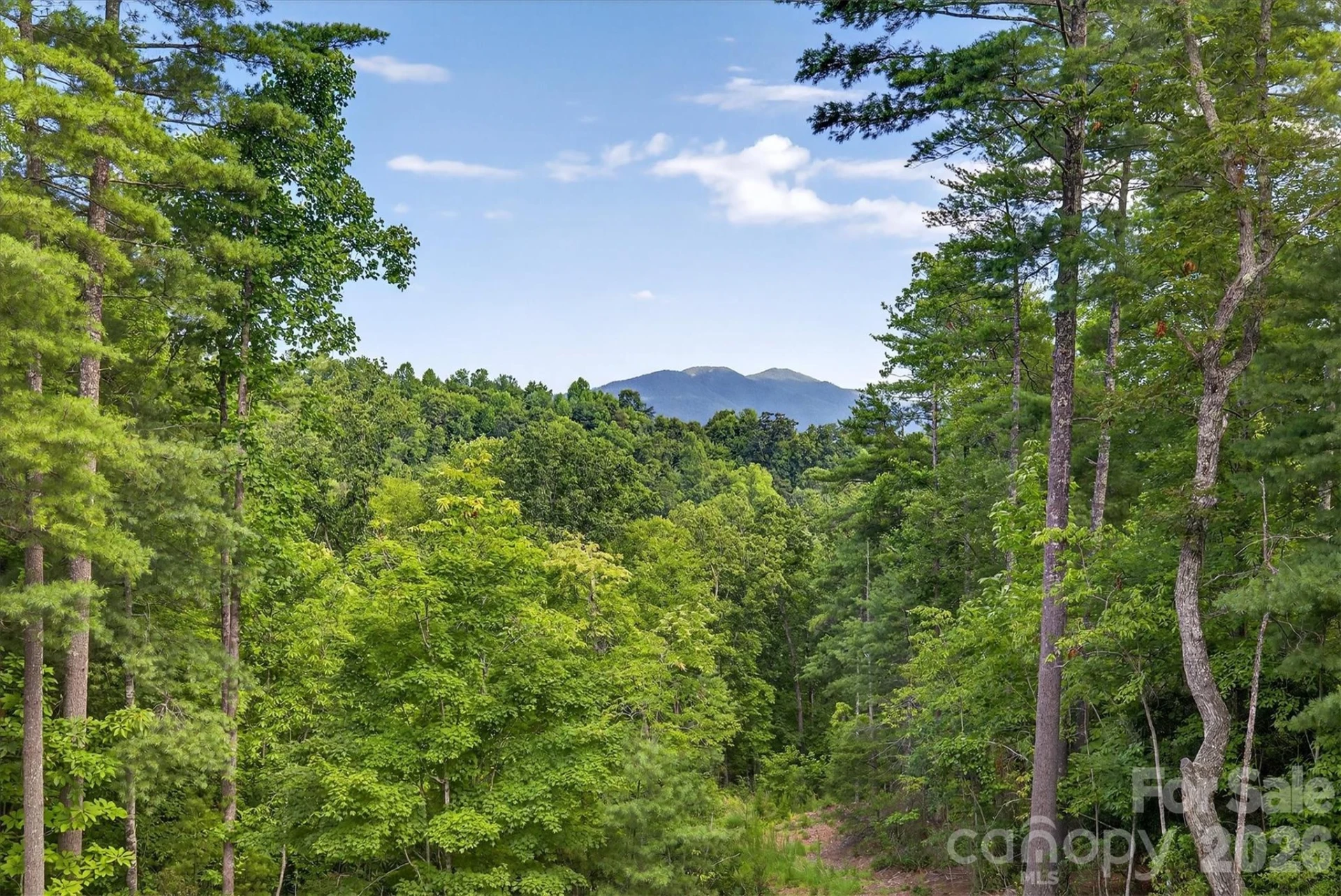 217 Sycamore Drive - Photo 44