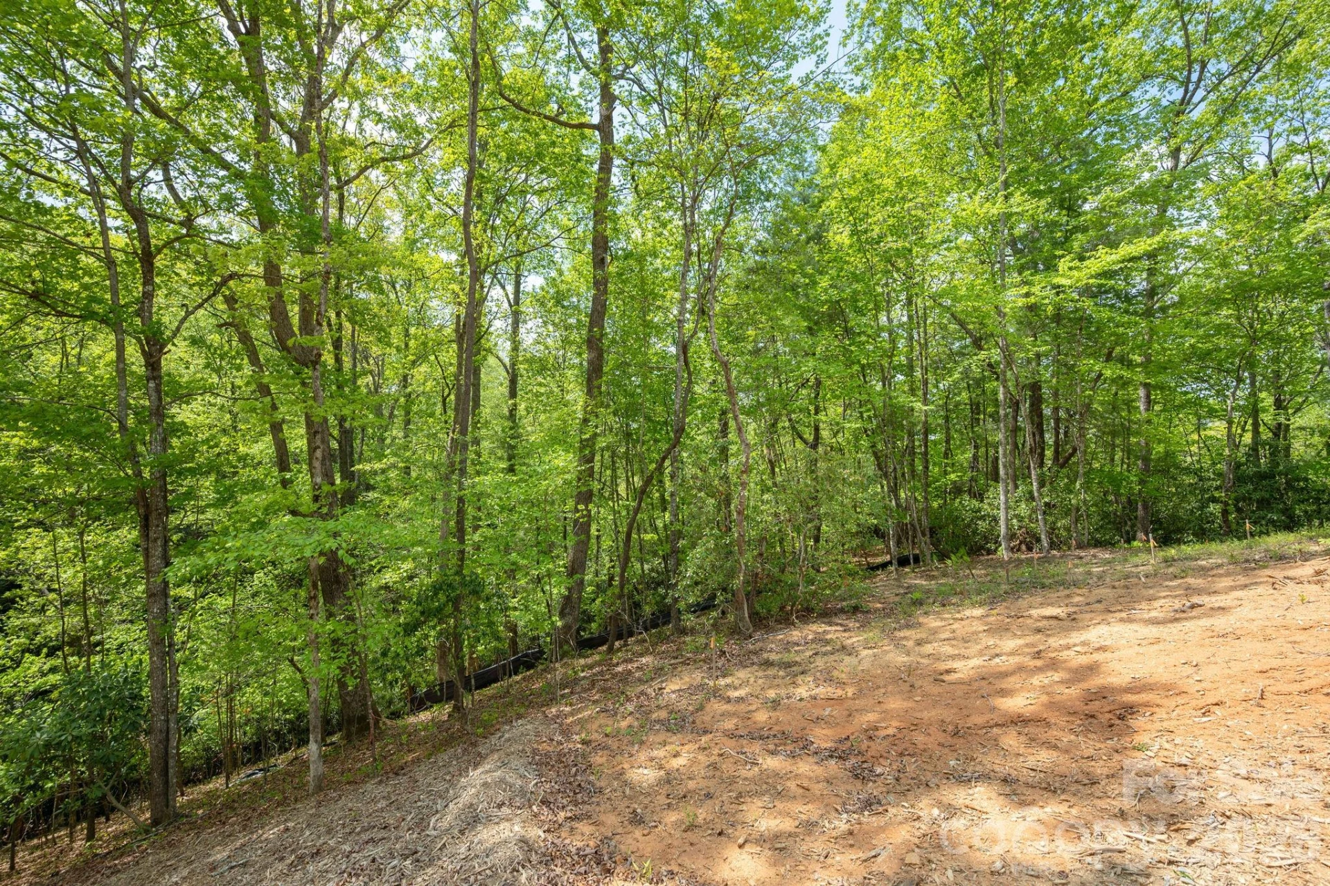 106 Skydance Trail #3 - Photo 21