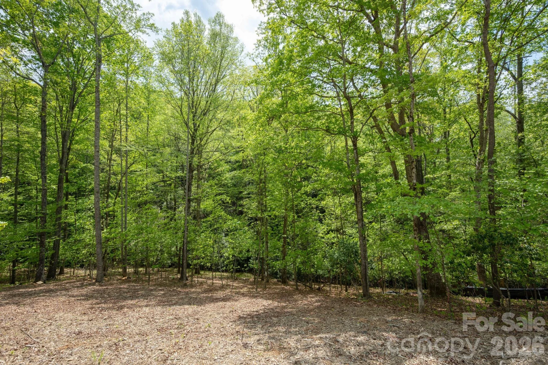 106 Skydance Trail #3 - Photo 23