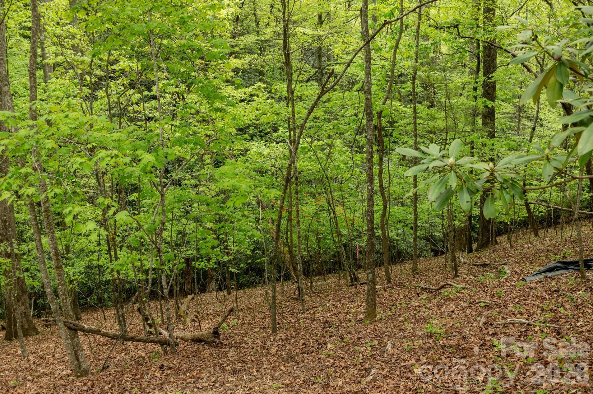 106 Skydance Trail #3 - Photo 25