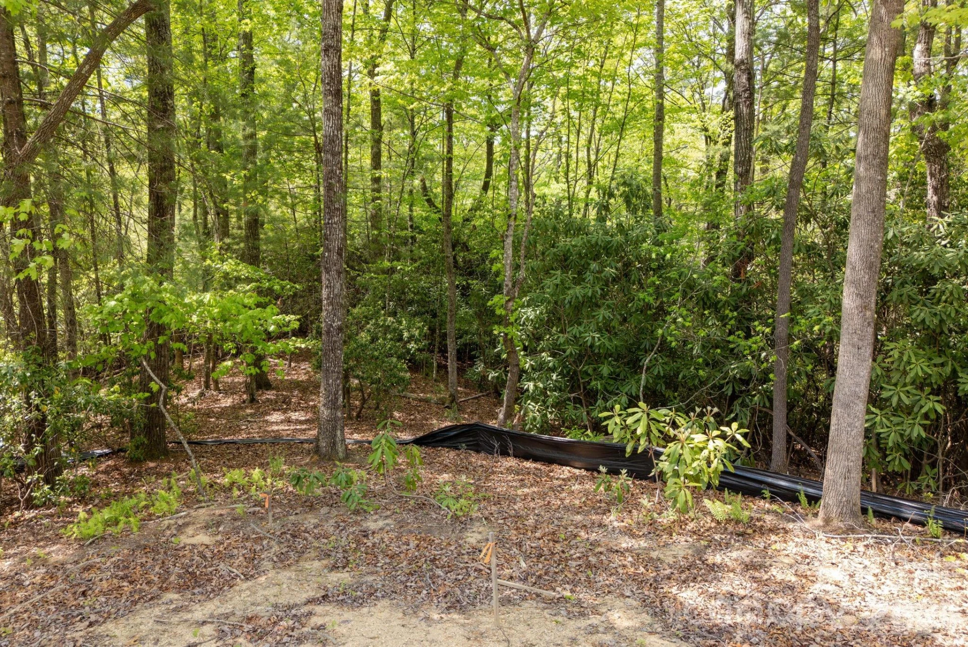 106 Skydance Trail #3 - Photo 26