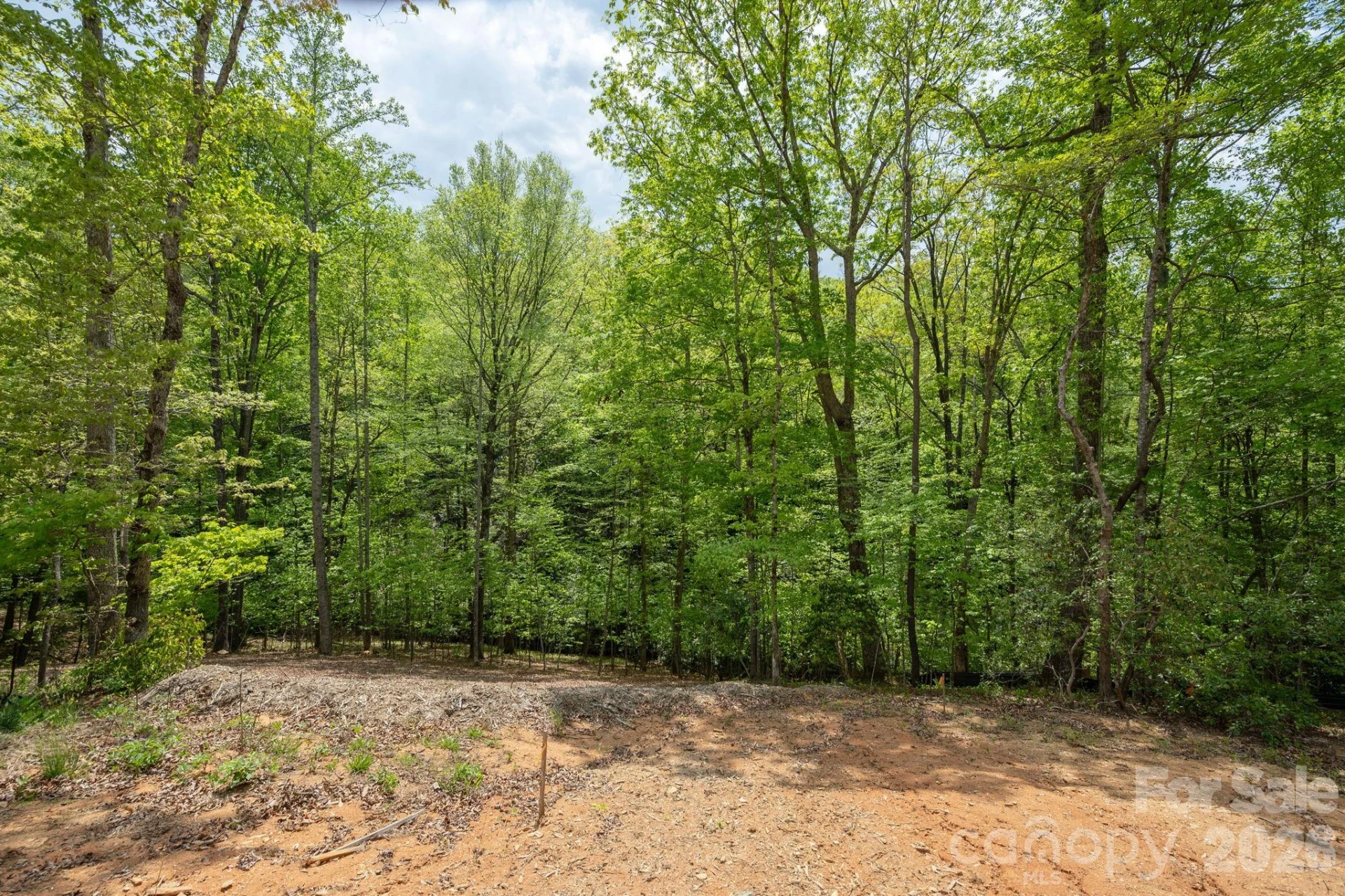 106 Skydance Trail #3 - Photo 27
