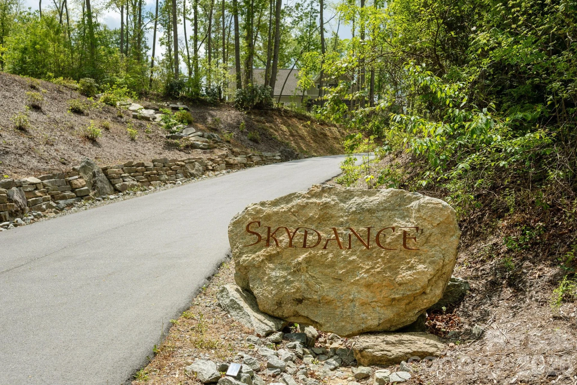 106 Skydance Trail #3 - Photo 5