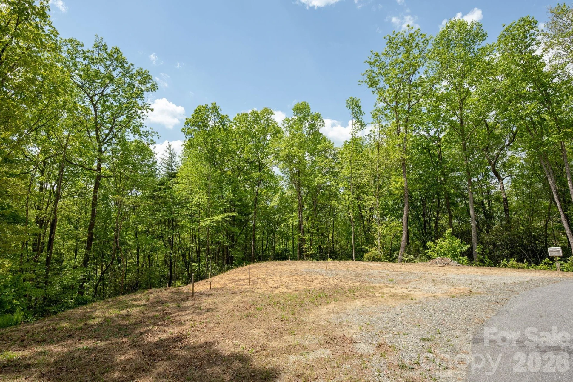 106 Skydance Trail #3 - Photo 11