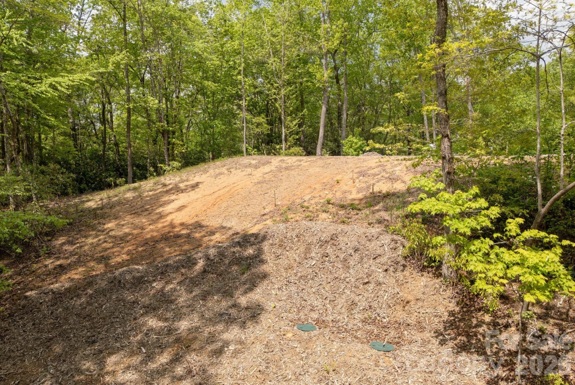 106 Skydance Trail #3 - Photo 19