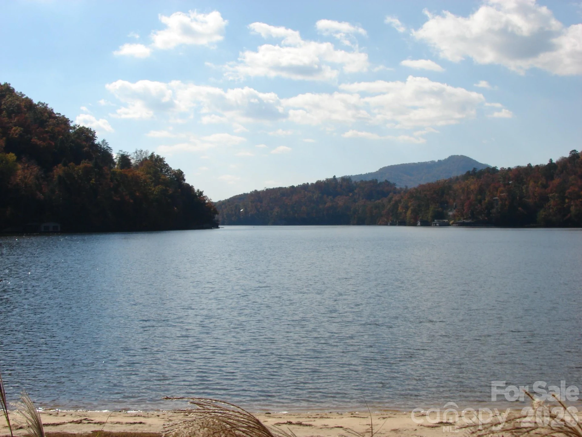 160 Whitney Boulevard #31 - Photo 28