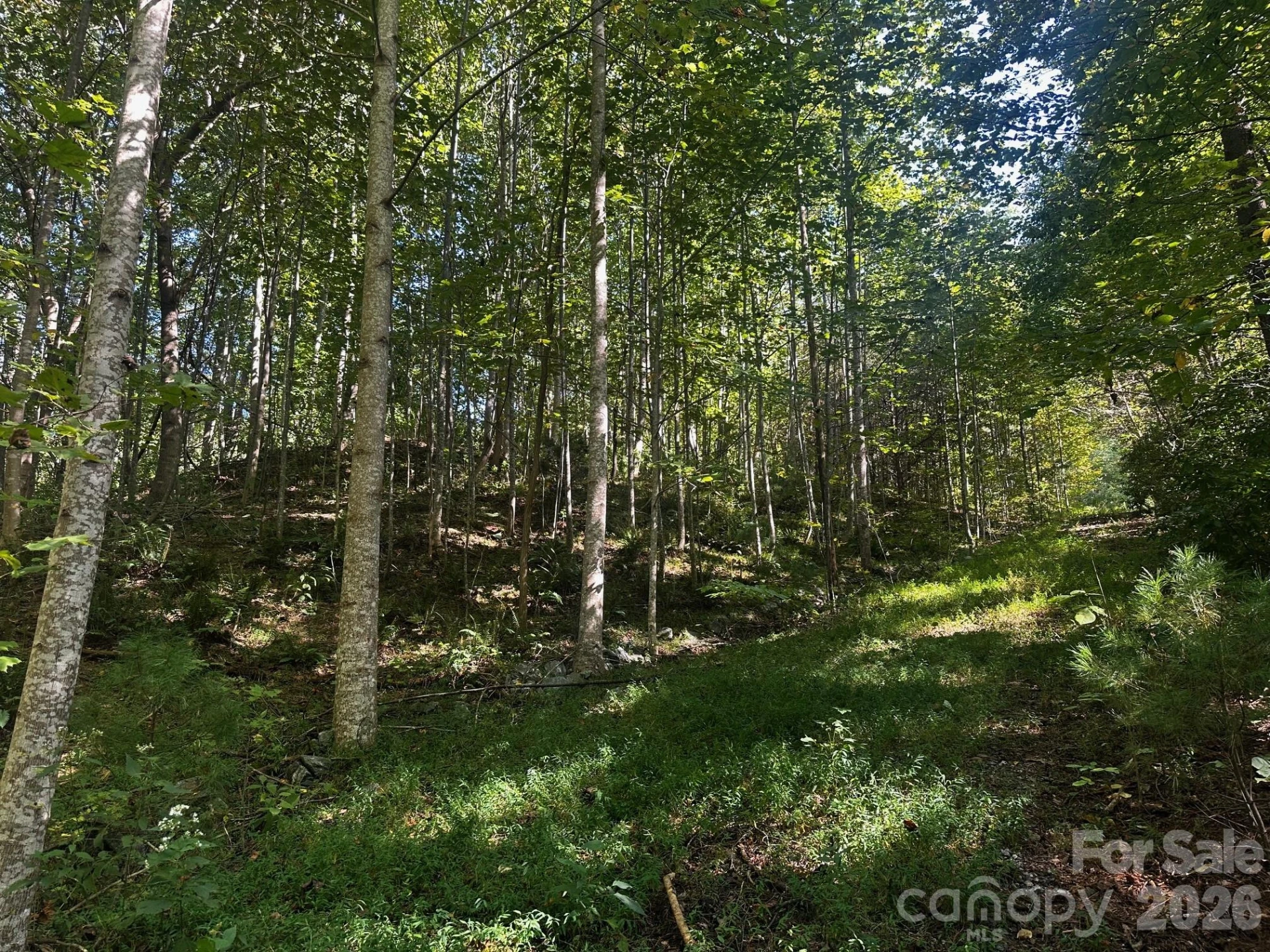 0 Clear Creek Trail - Photo 2