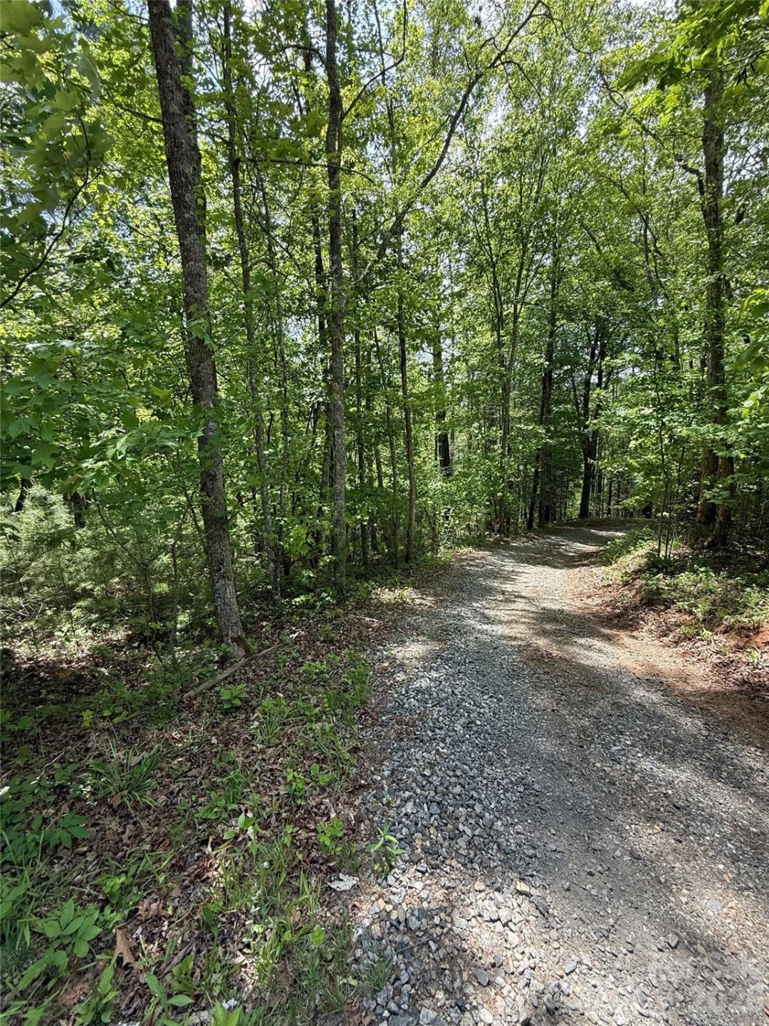 242 area Radford Road #3 - Photo 6