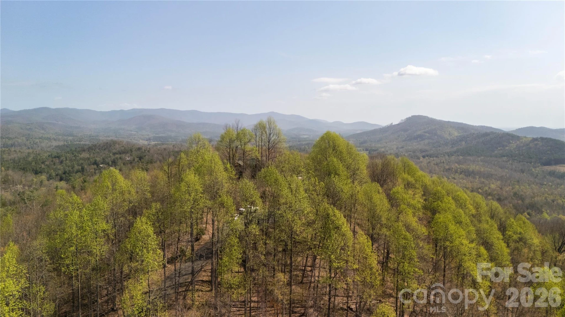 TBD Owls Ridge Road - Photo 3