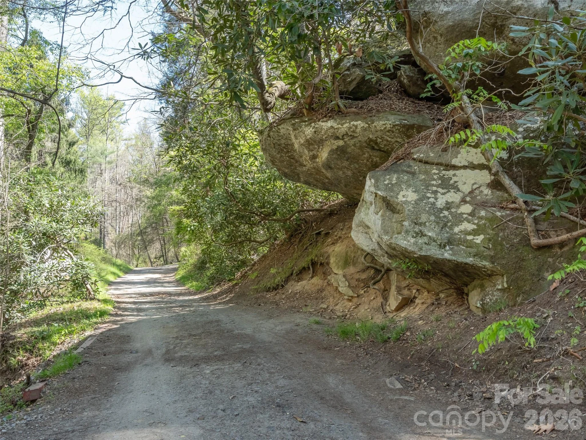 40 Morning Dove Lane - Photo 42