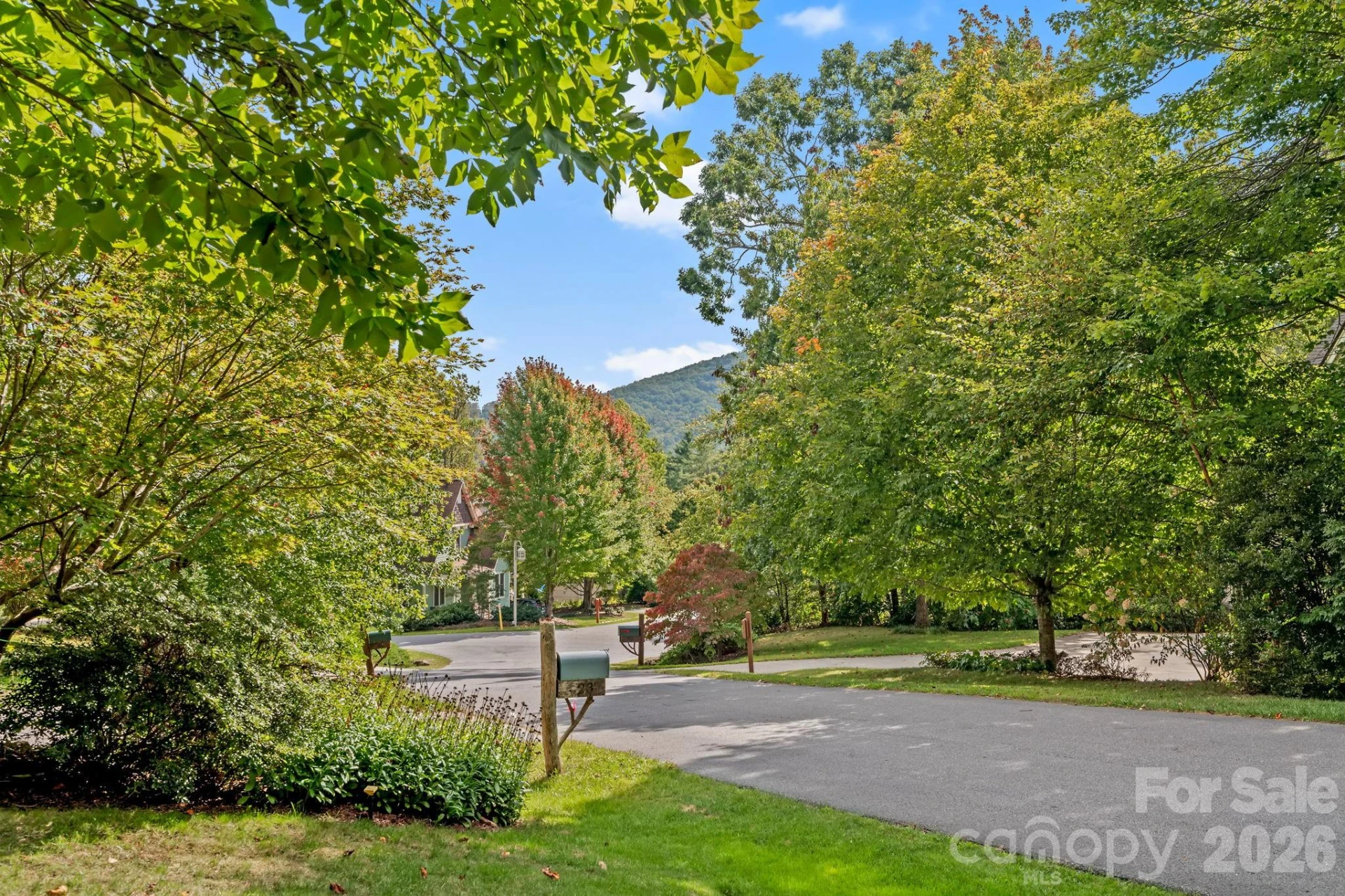25 E Owl Creek Lane - Photo 3