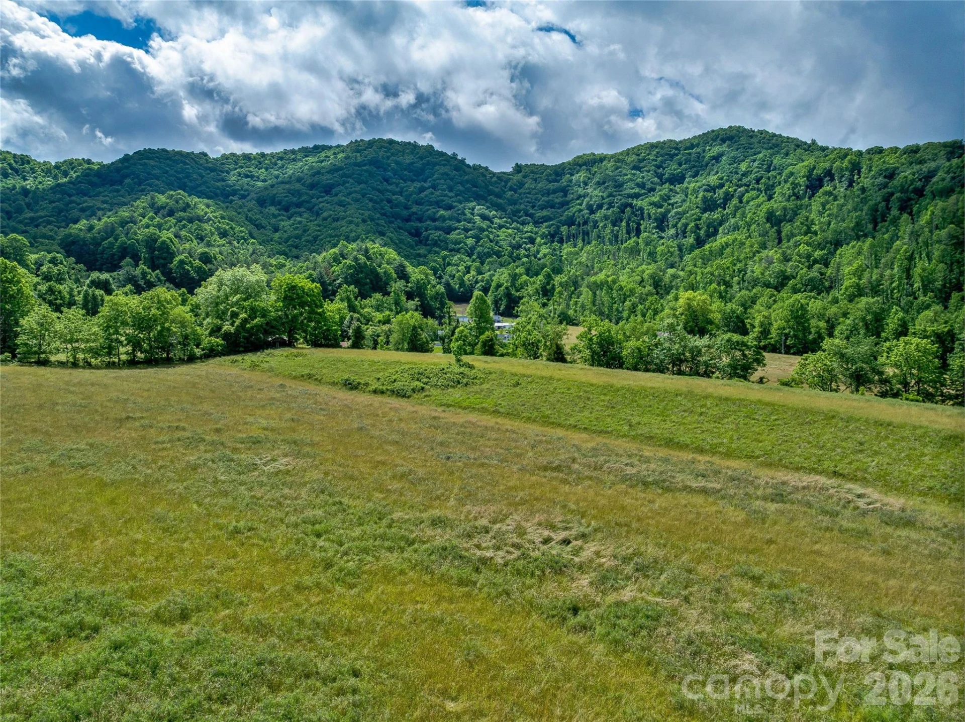 330 Tilson Branch Road - Photo 19