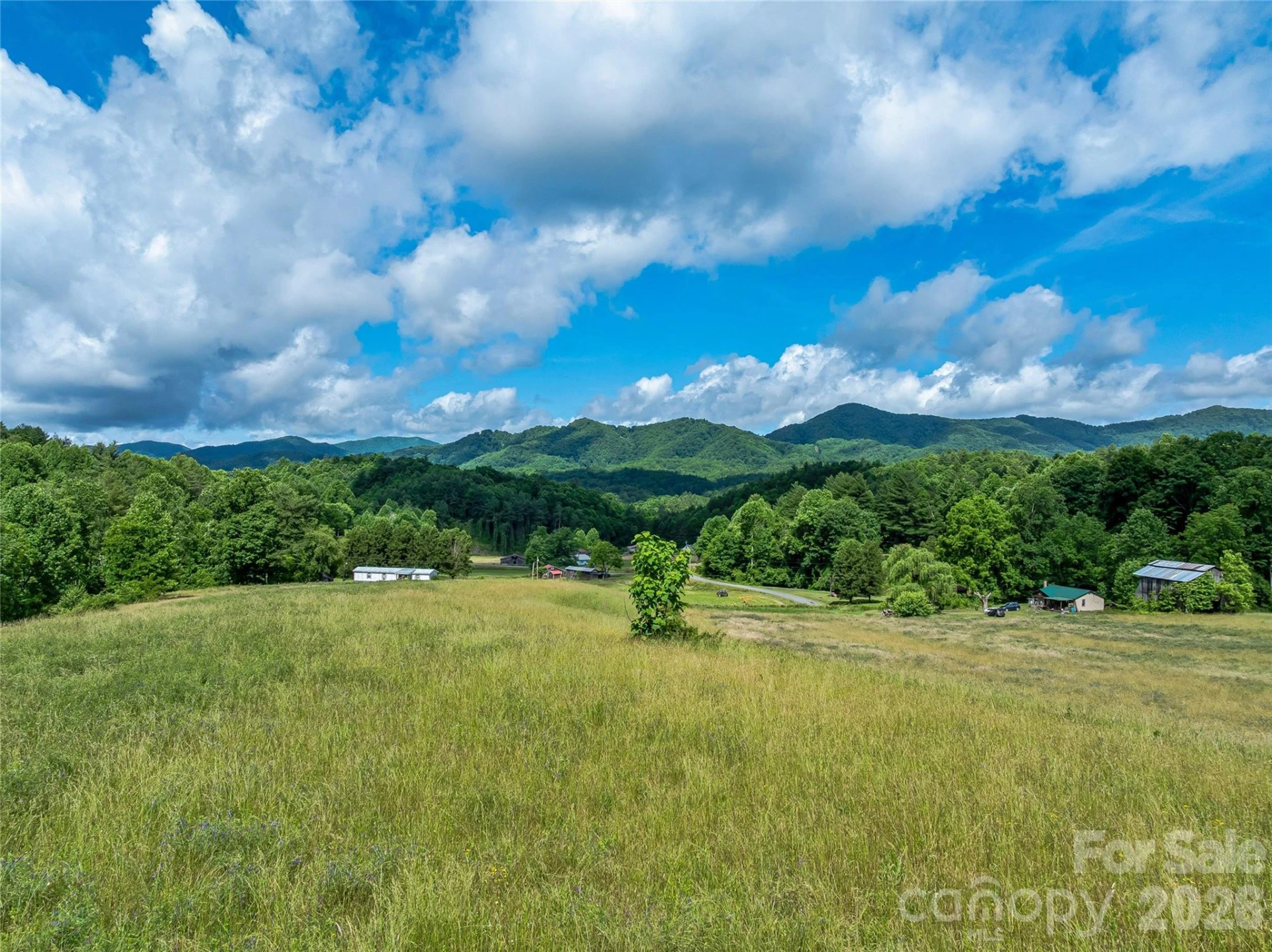 330 Tilson Branch Road - Photo 20