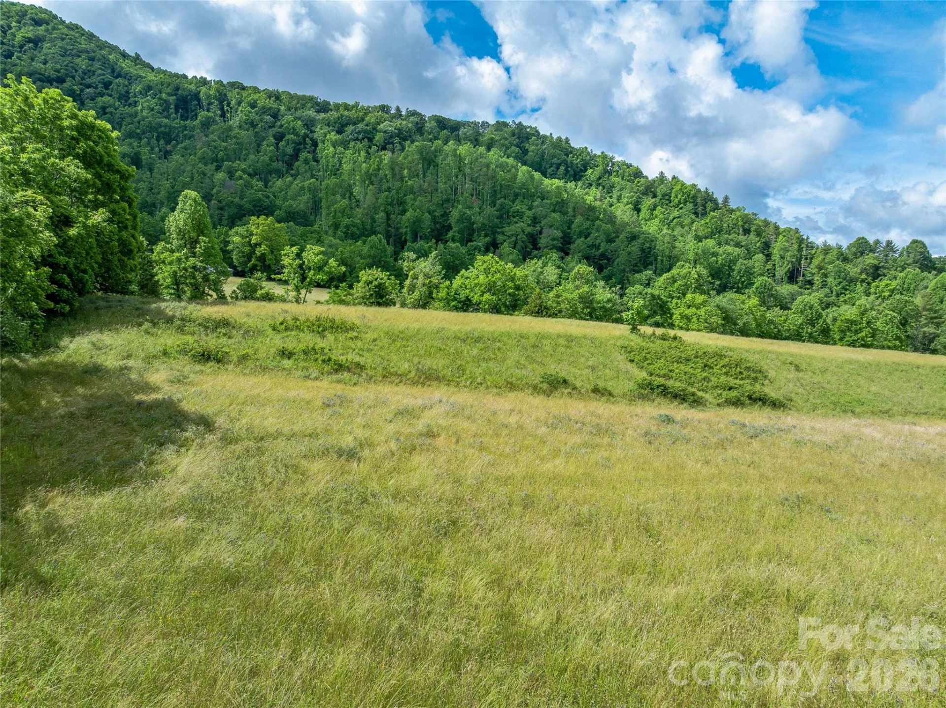 330 Tilson Branch Road - Photo 3