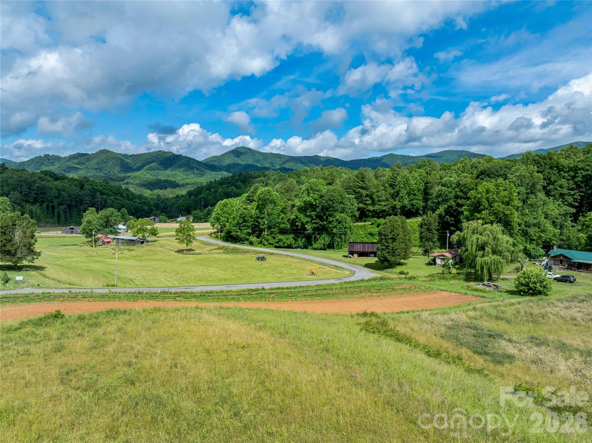 330 Tilson Branch Road - Photo 4