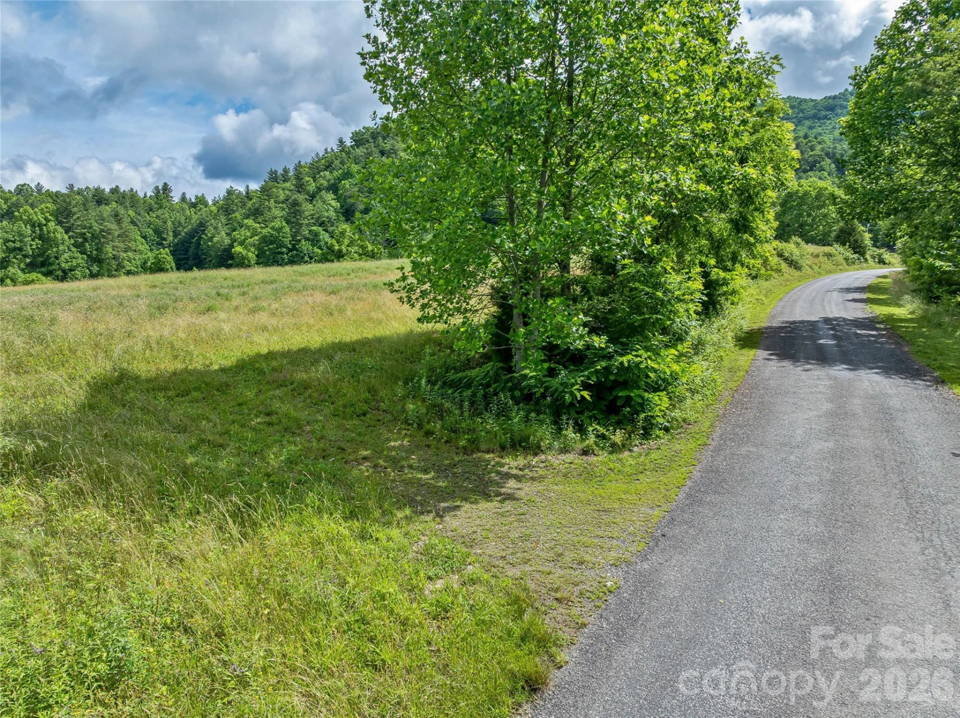 330 Tilson Branch Road - Photo 5