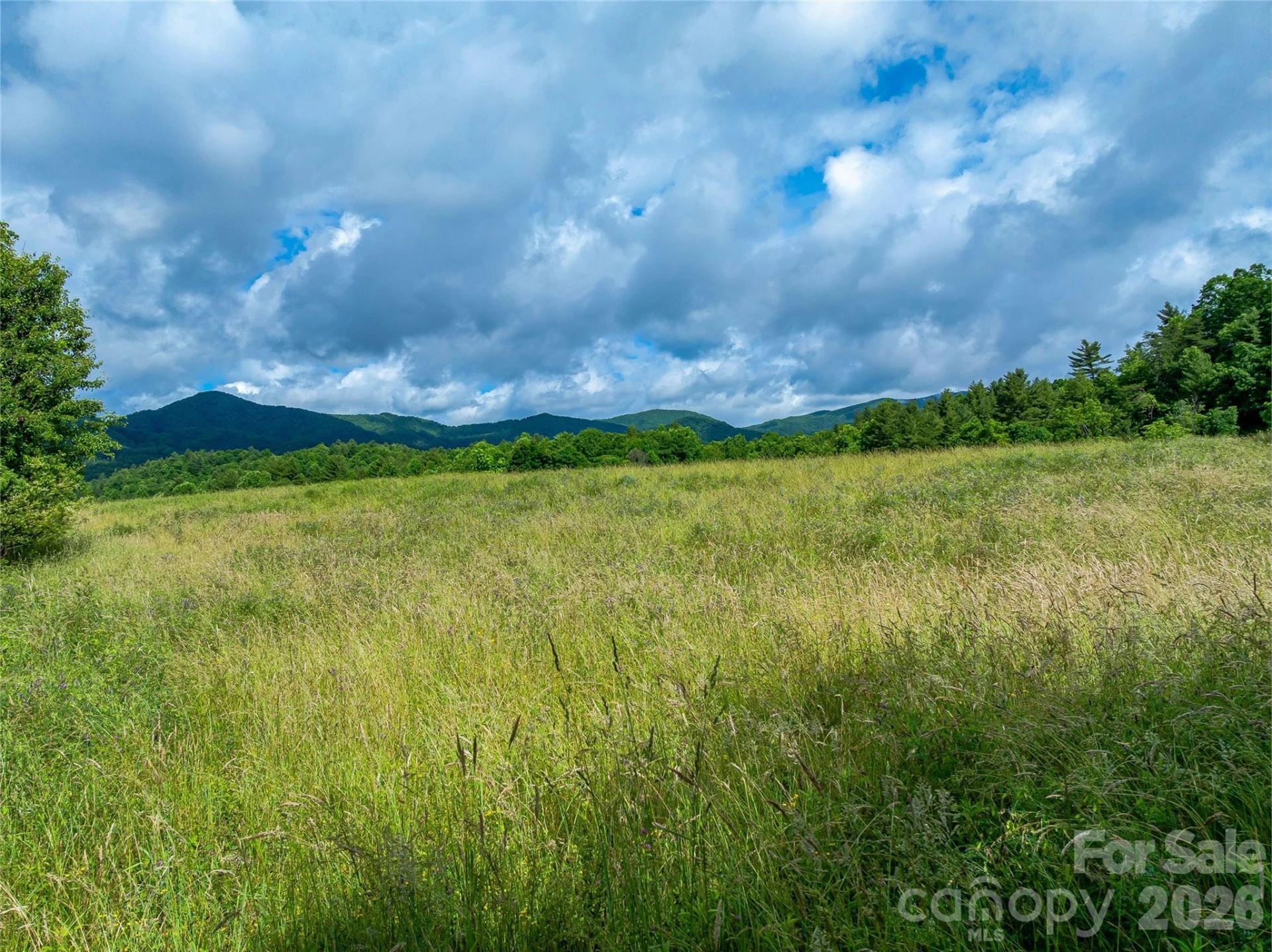 330 Tilson Branch Road - Photo 8