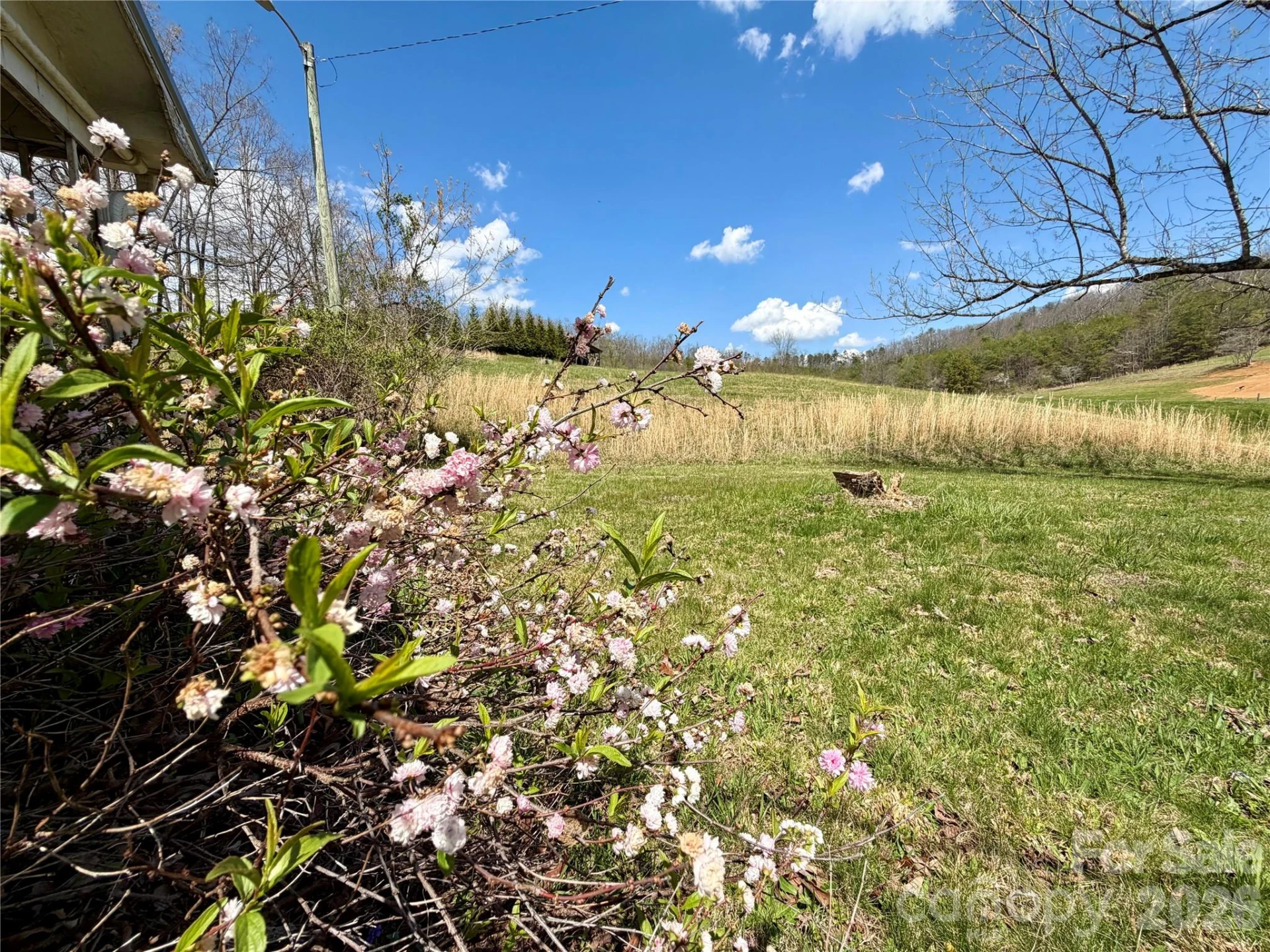 637 Fletcher Martin Road - Photo 3