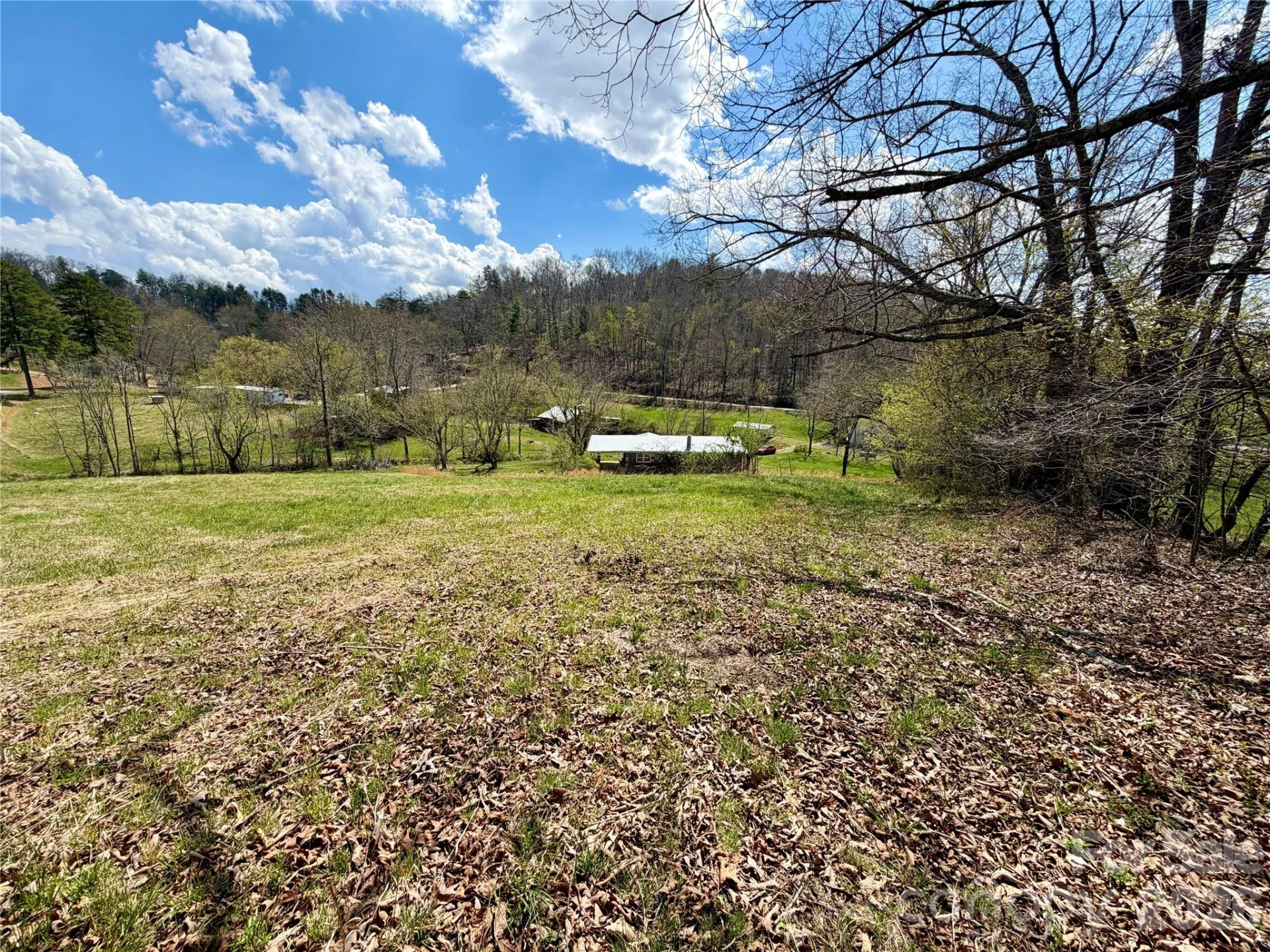 637 Fletcher Martin Road - Photo 6