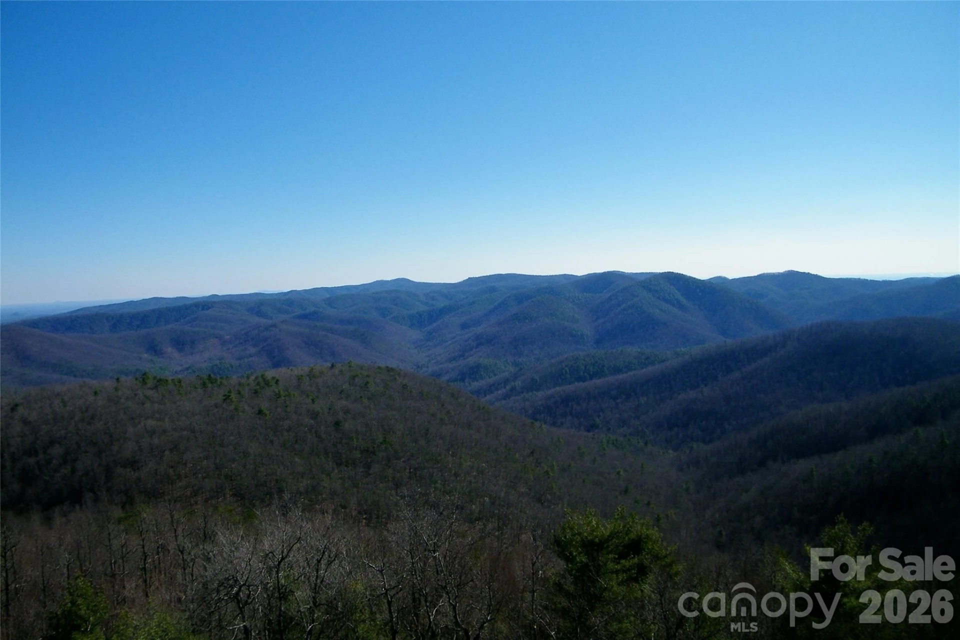 Lot 111 Trellis Drive - Photo 12