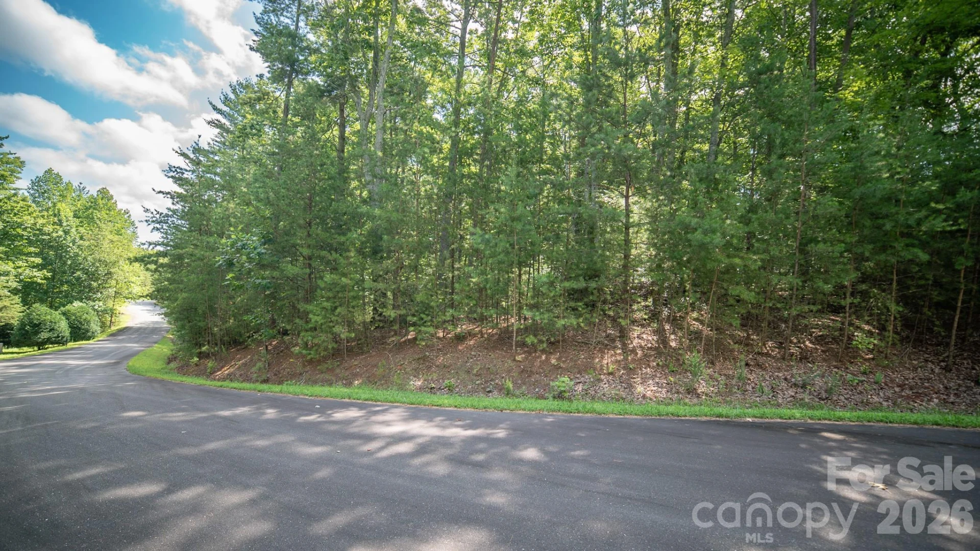 Lot 111 Trellis Drive - Photo 5