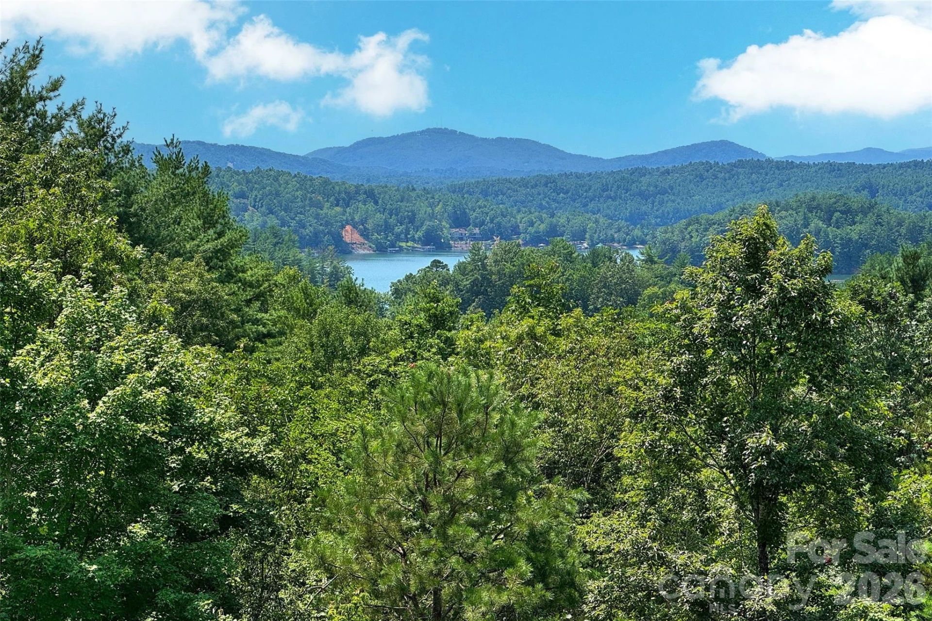 207 Lake Crest Drive #11 - Photo 48