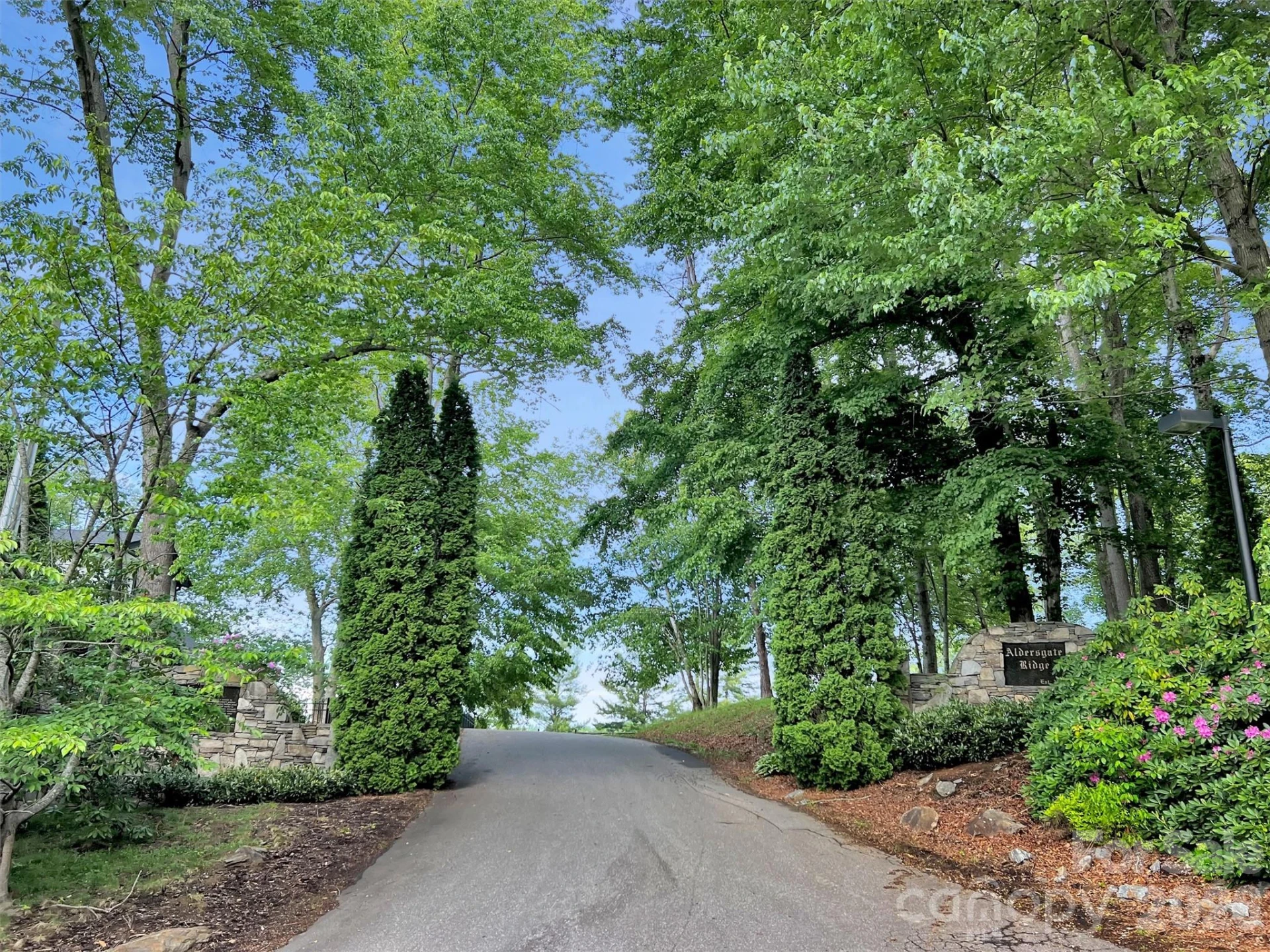 186 Aldersgate Road - Photo 10