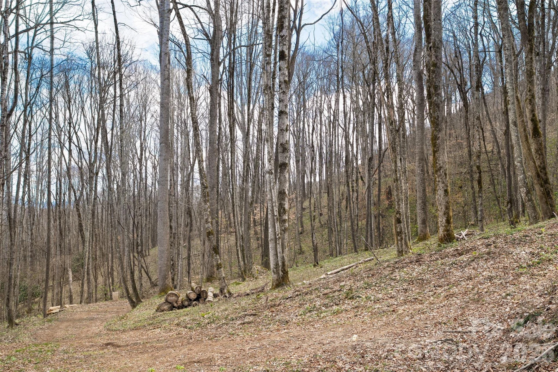 23 Forbidden Cove - Photo 12