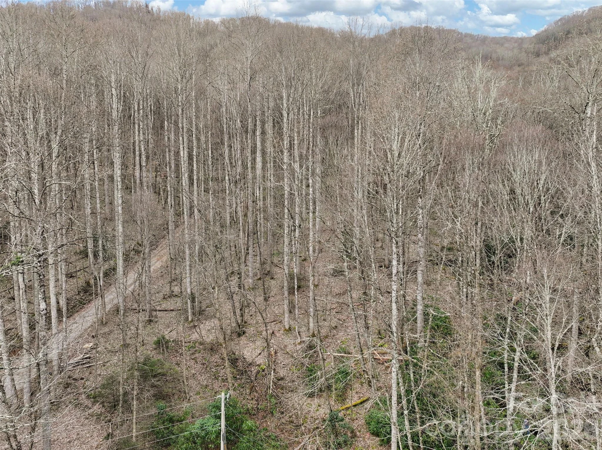 23 Forbidden Cove - Photo 16