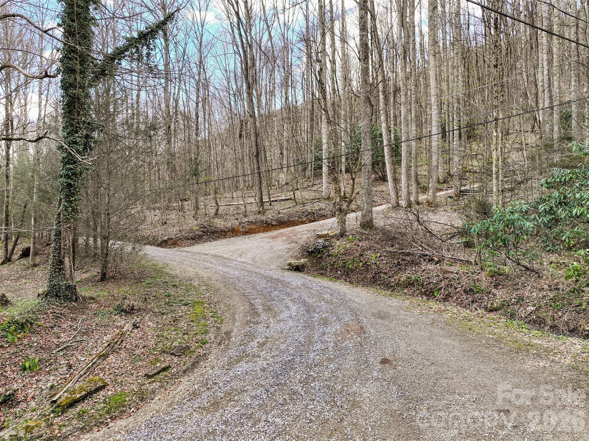 23 Forbidden Cove - Photo 3