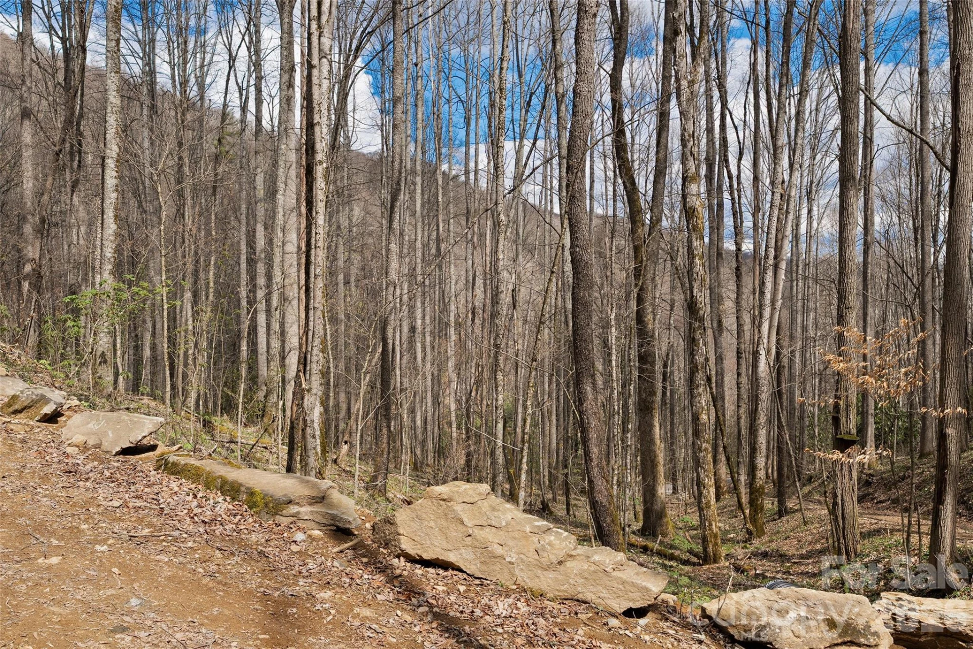 23 Forbidden Cove - Photo 6