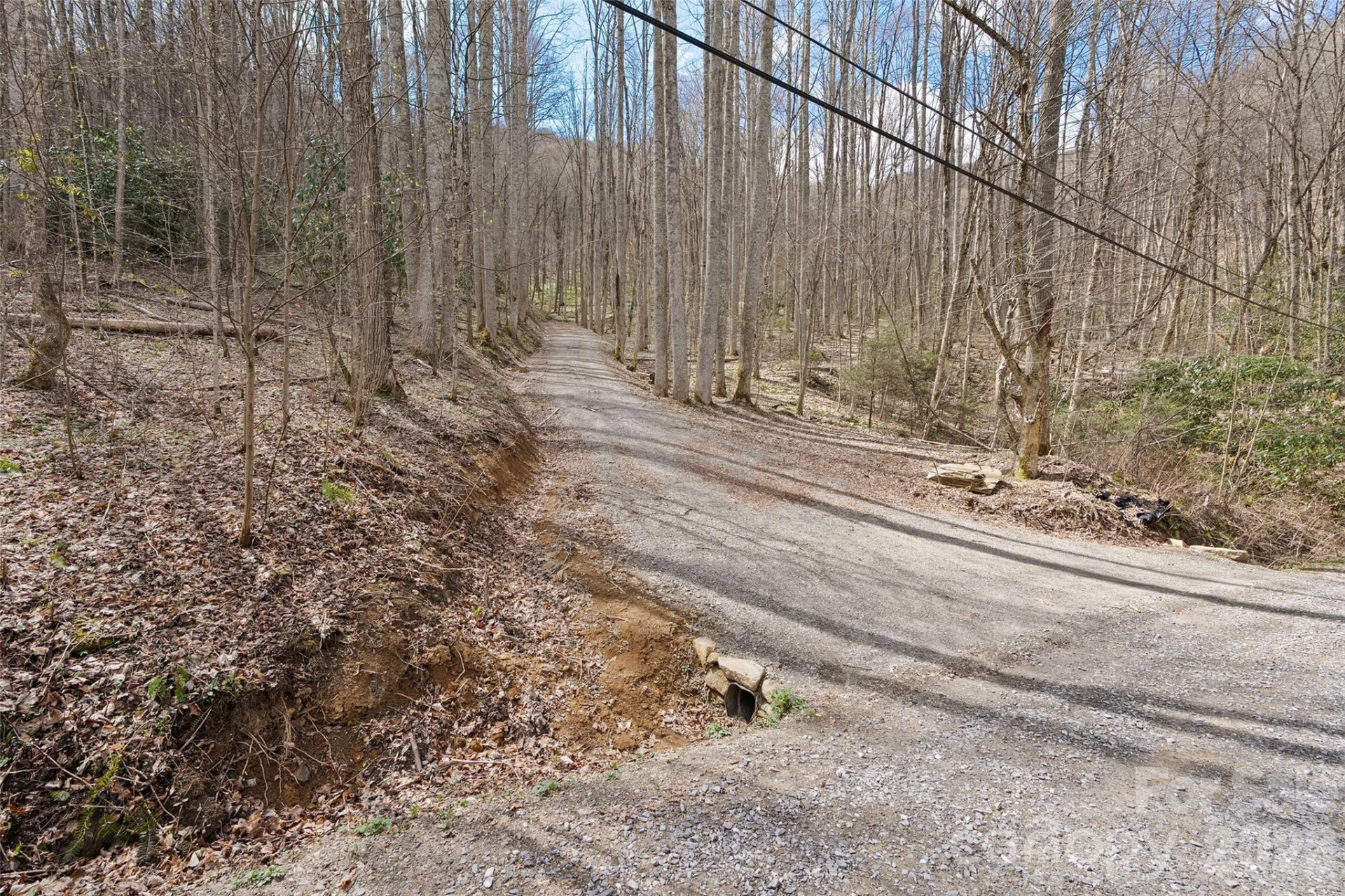 23 Forbidden Cove - Photo 7