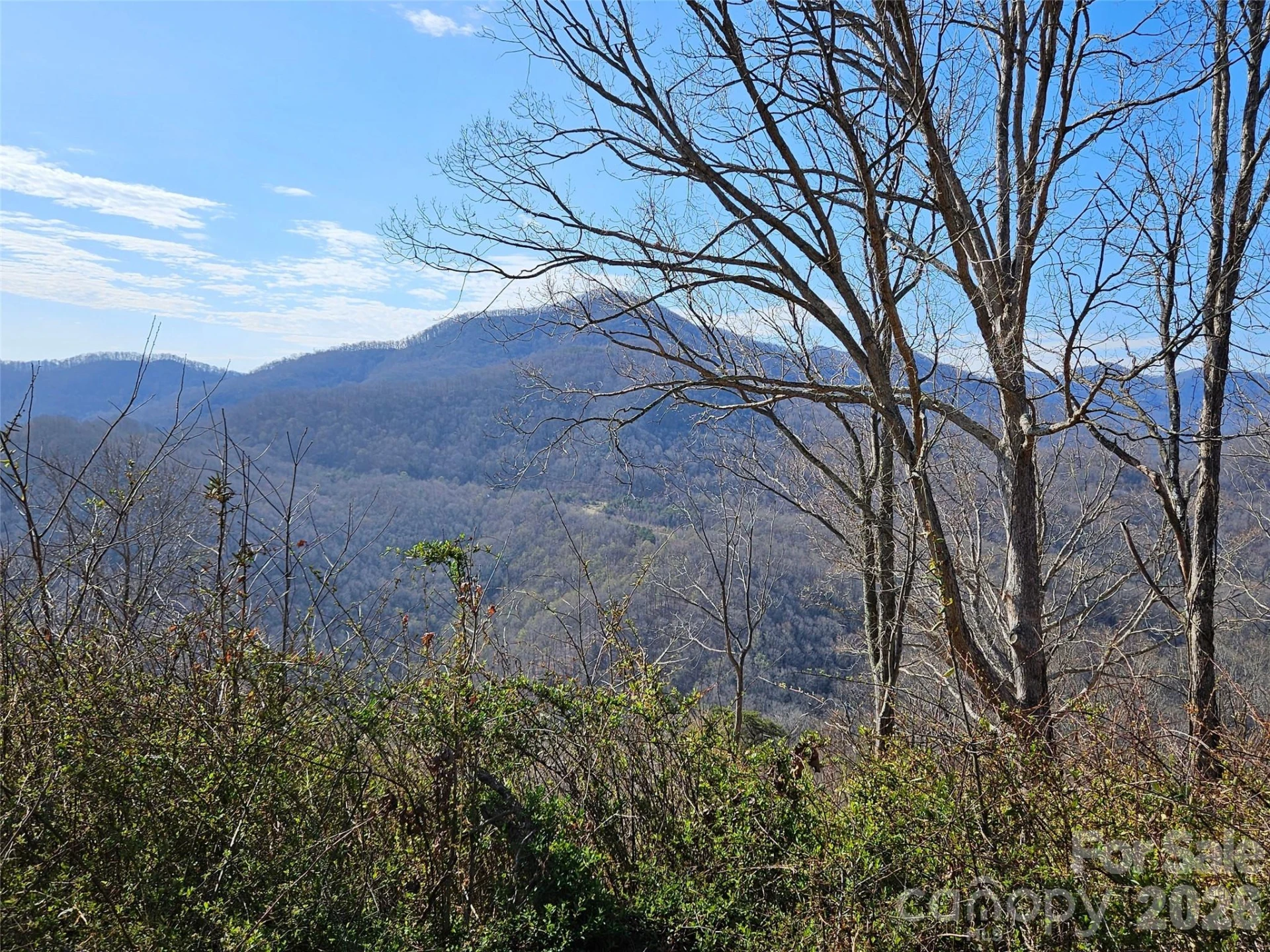 989 High Rock View Drive - Photo 3