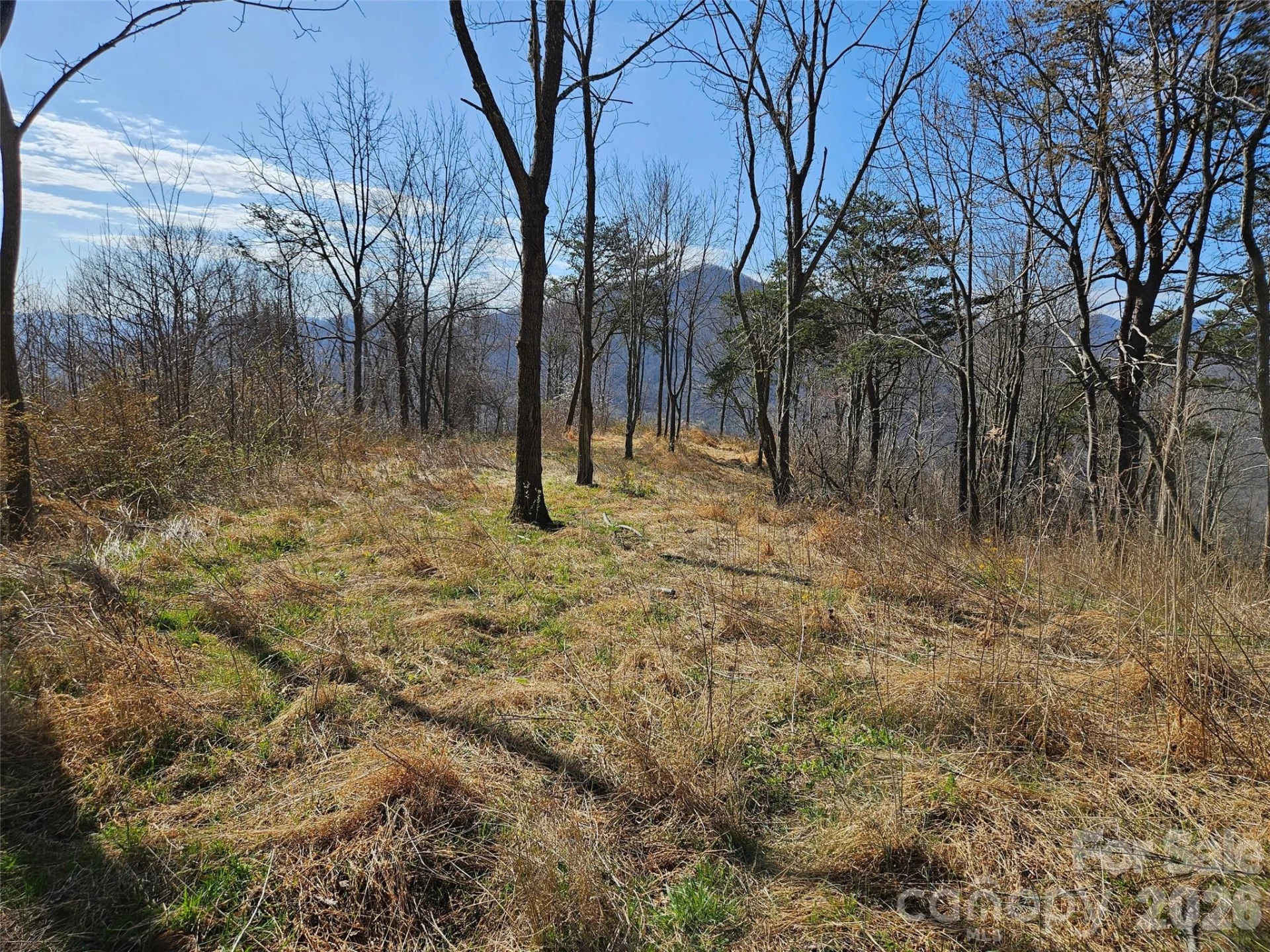 989 High Rock View Drive - Photo 6