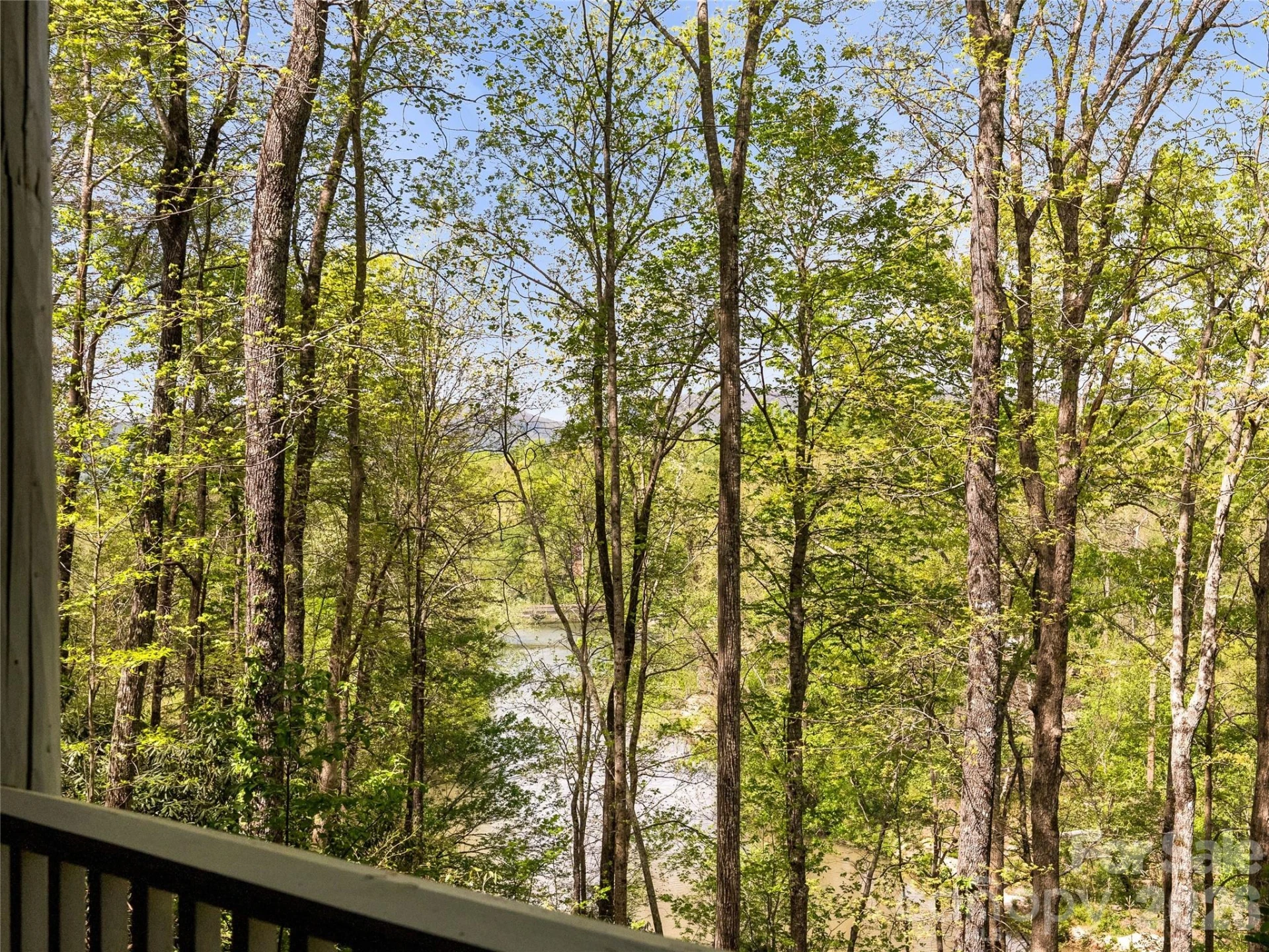 4004 Lake Adger Parkway - Photo 44