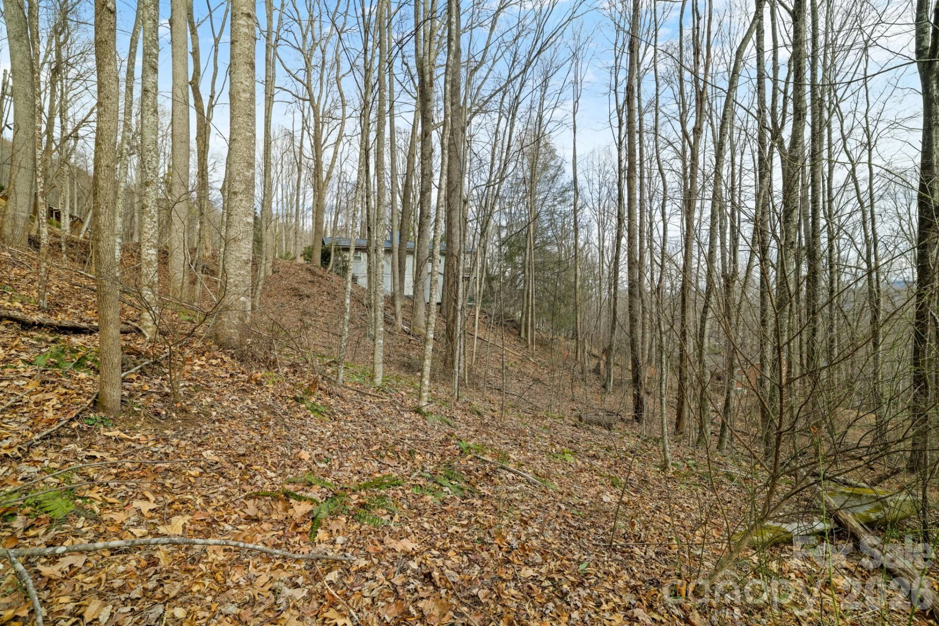 00 Sleepy Hollow Drive #6 - Photo 12