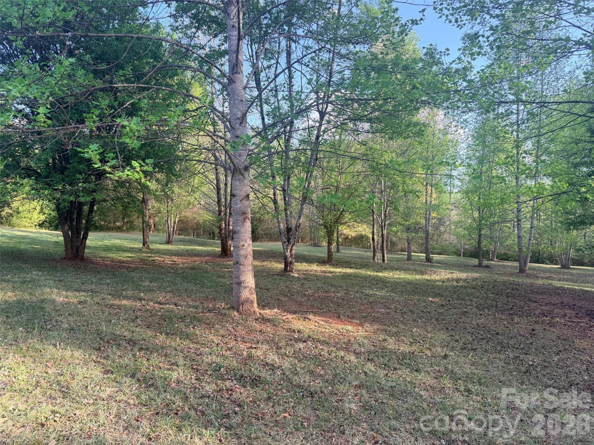 0 Old Stonecutter Road - Photo 4