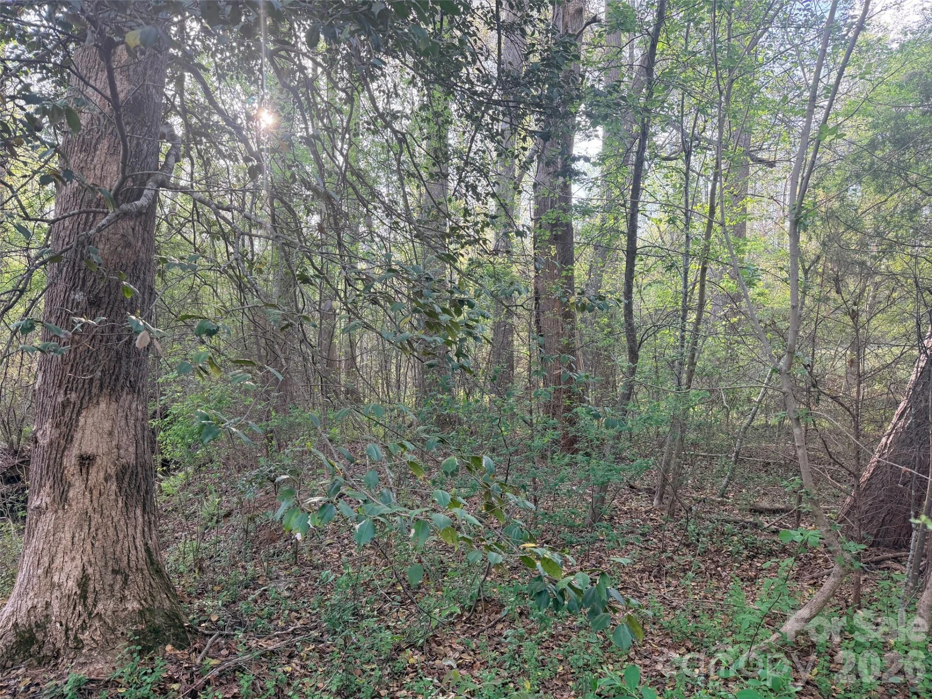0 Old Stonecutter Road - Photo 7