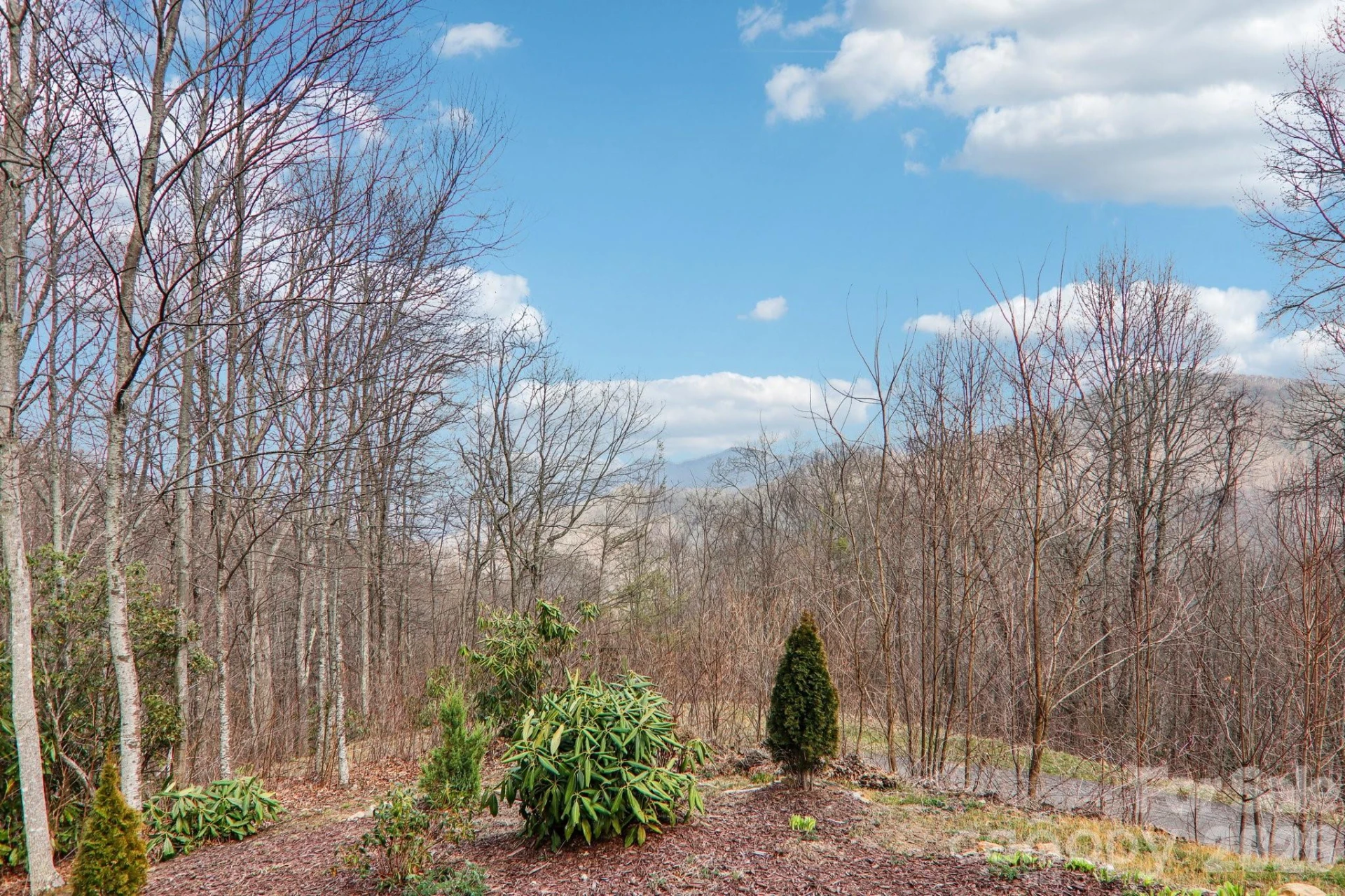14 Chandra Lane - Photo 40