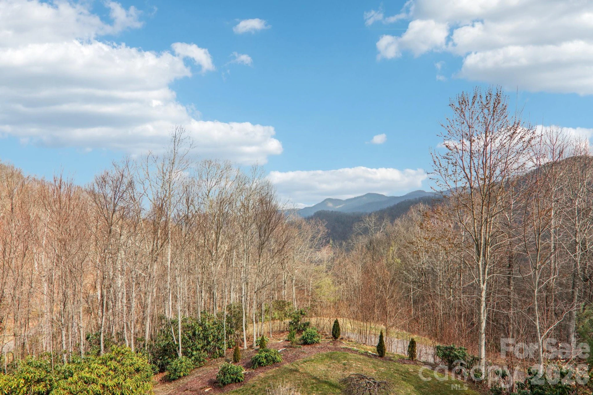 14 Chandra Lane - Photo 41