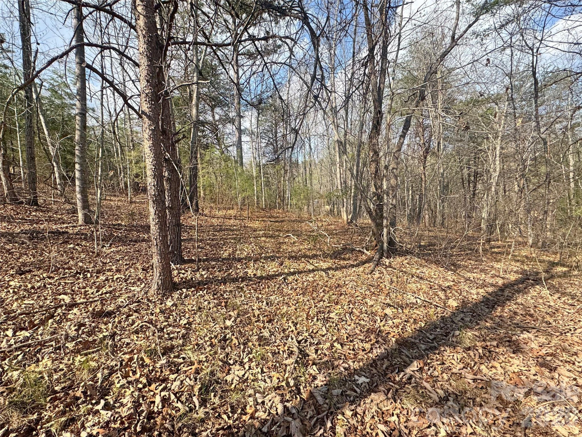 VL Amberwood Place #17 - Photo 7
