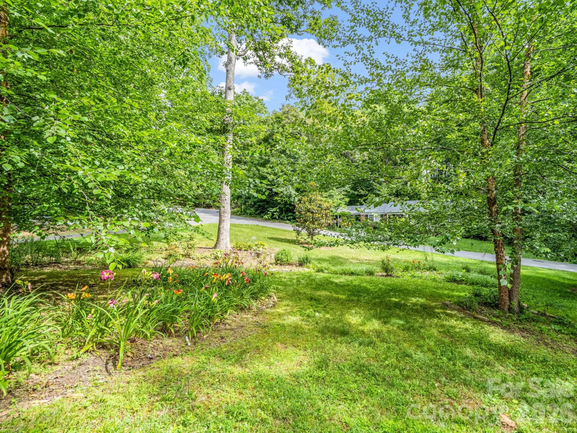 111 Dogwood Drive - Photo 13