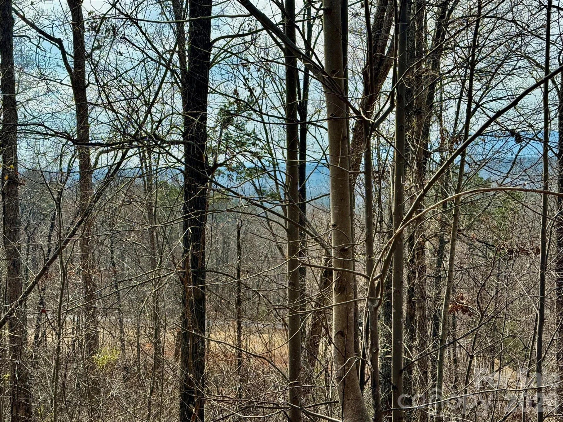 Lot 236 Rock Ledge Drive - Photo 19