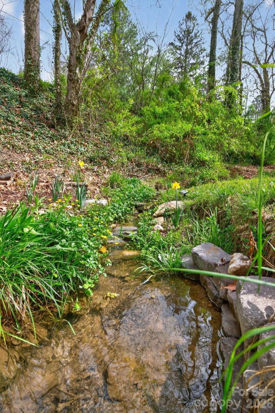 3 Ellenwood Drive - Photo 33